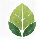 Iconiță abstractă reprezentând puritatea și natura, cu forme organice.