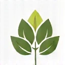 Iconiță abstractă reprezentând sănătatea holistică și echilibrul, cu forme organice.